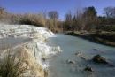 termesaturnia