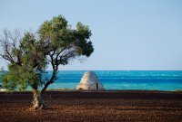 vacanzaregionepuglia